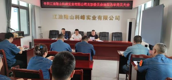 公司黨支部召開黨員大會 謀劃未來三年黨建新藍(lán)圖2.jpg